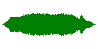 Car Revving Medium A1 Sound Effect