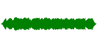 Moderate Rain Falling Sound Effect