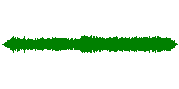 Windy Trees Blowing Stereo A3 Sound Effect