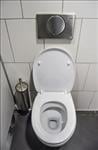 Free Toilet Flushing sound effects download