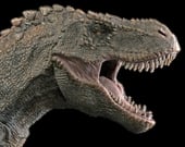 Free Dinosaur sound effects download