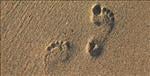 Free Footsteps sound effects download