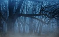 Royalty Free Dark Ambient music
