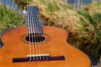 Traditional Spanish flamenco guitar.