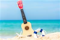 An upbeat reggae track with a guitar and ukelele-based feel.
